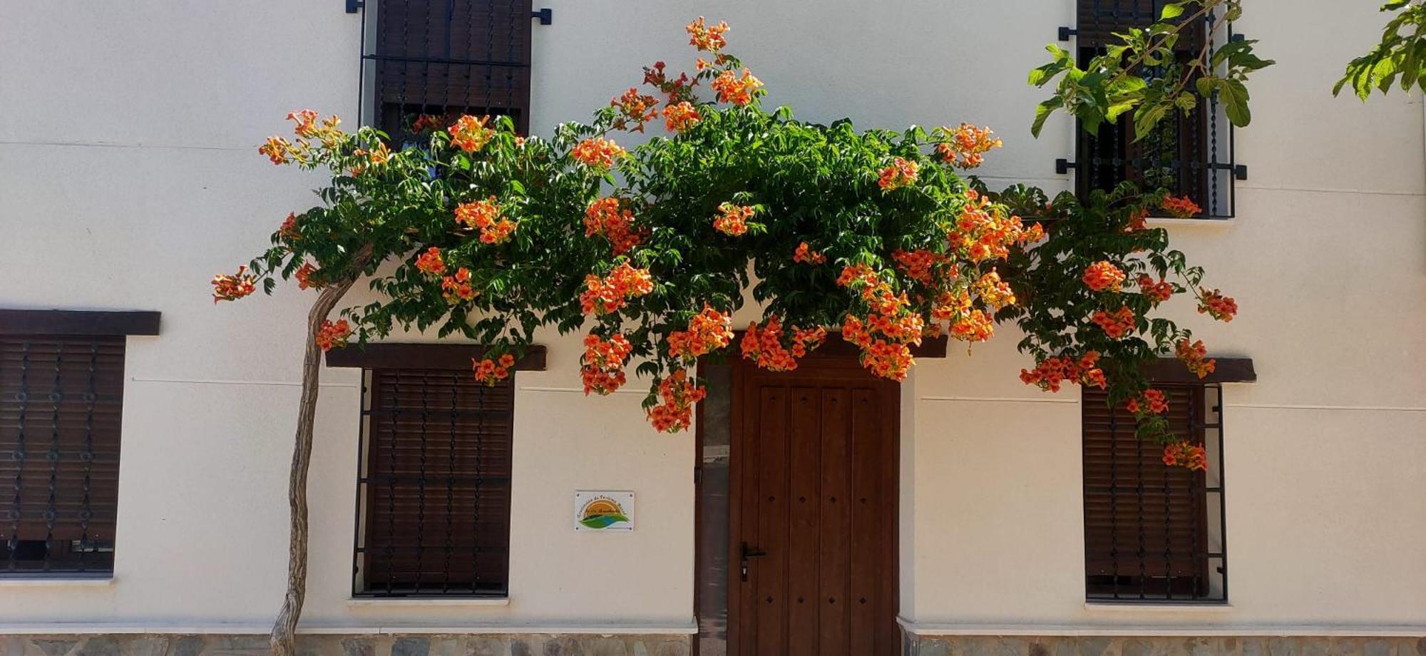 El Molino De Alatoz Villa Ngoại thất bức ảnh